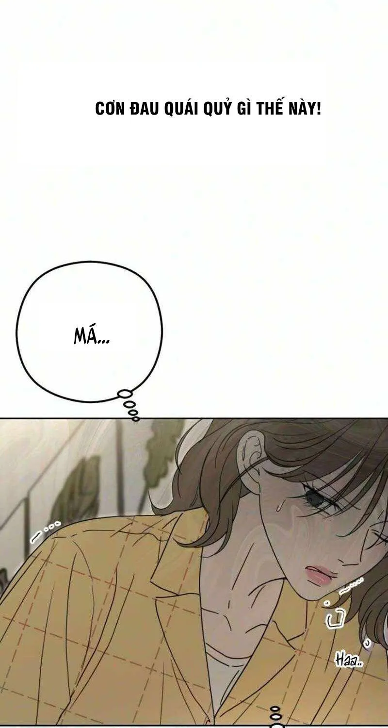 Chapter 21 - Trang 33