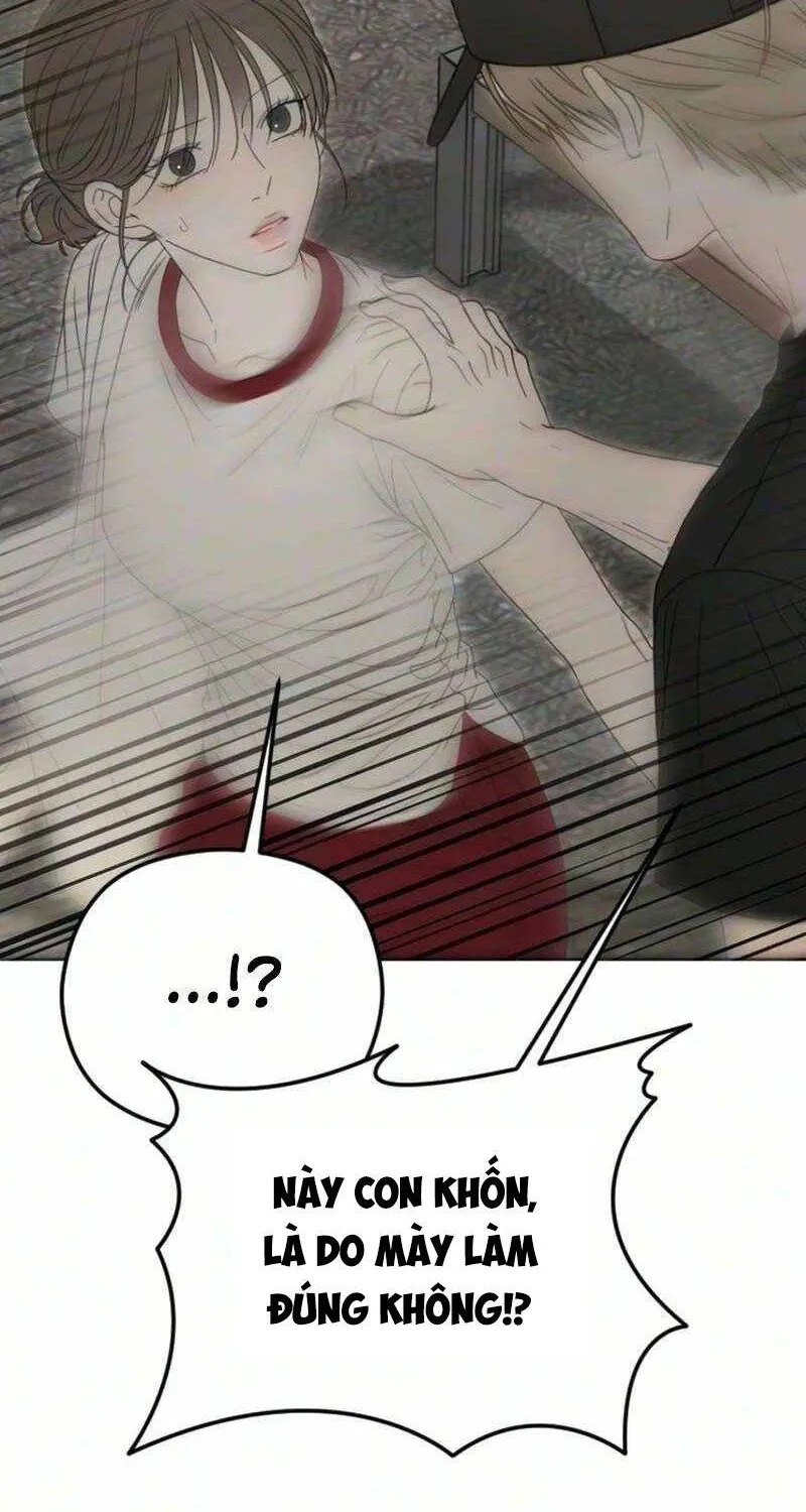 Chapter 21 - Trang 81