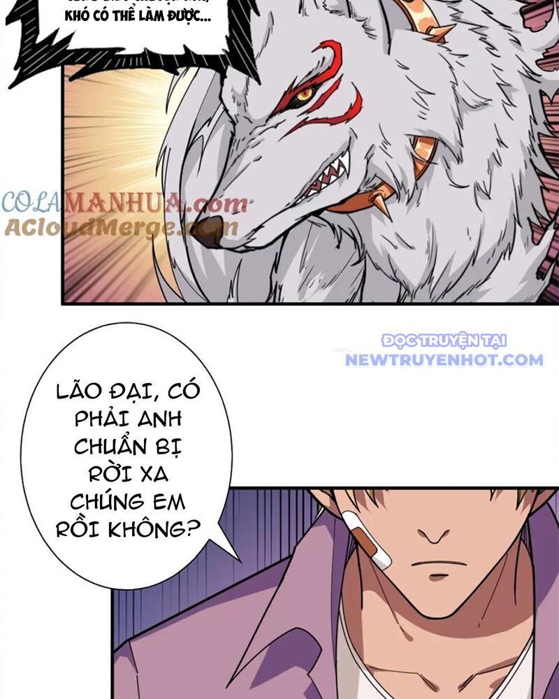 Trang 26