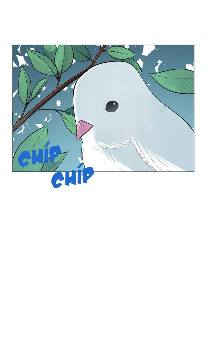 Chapter 2 - Trang 4