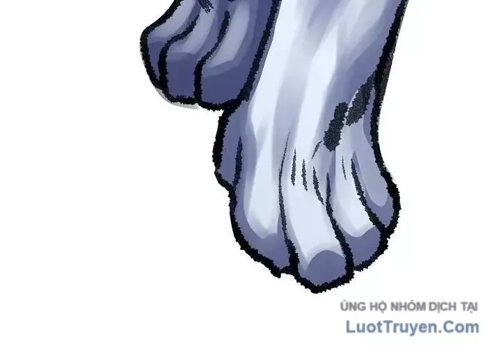 Chapter 56 - Trang 20