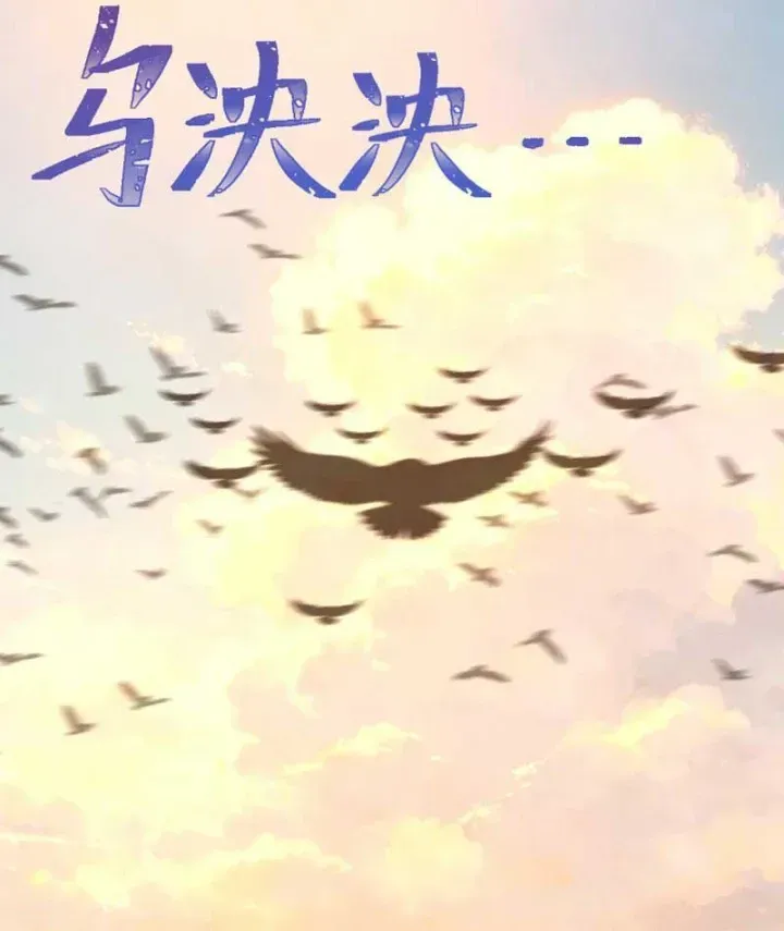 Chapter 54 - Trang 14