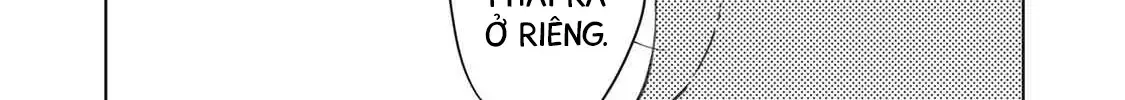 "Hạnh Phúc" Của Kuru - Chap 24 - Trang 17