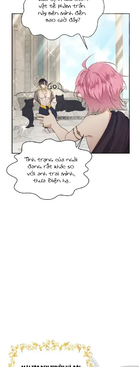 Chapter 4 - Trang 5