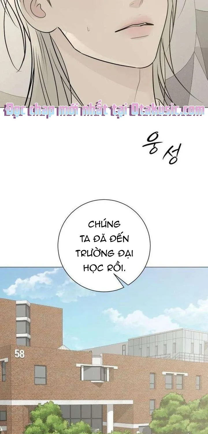 Chapter 23 - Trang 38