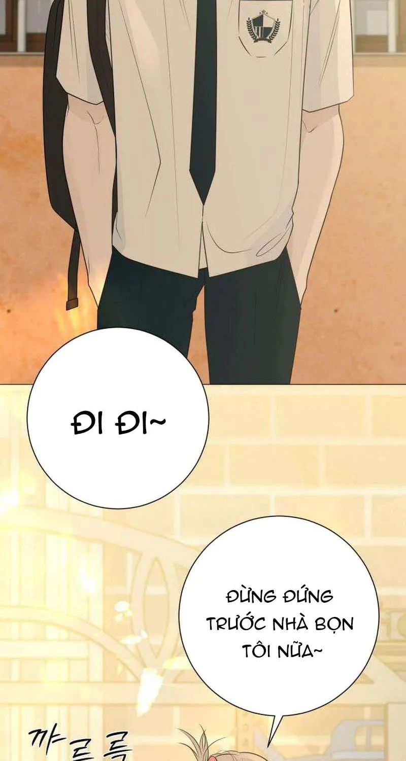 Chapter 31 - Trang 48