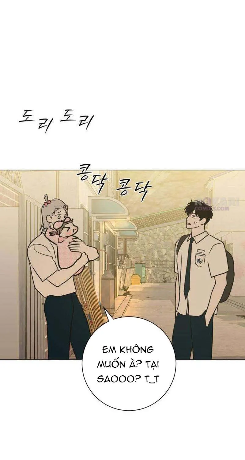 Chapter 31 - Trang 50