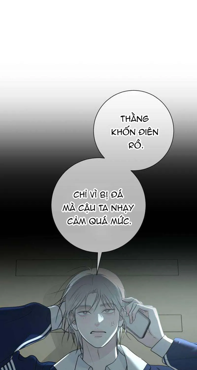 Chapter 31 - Trang 81