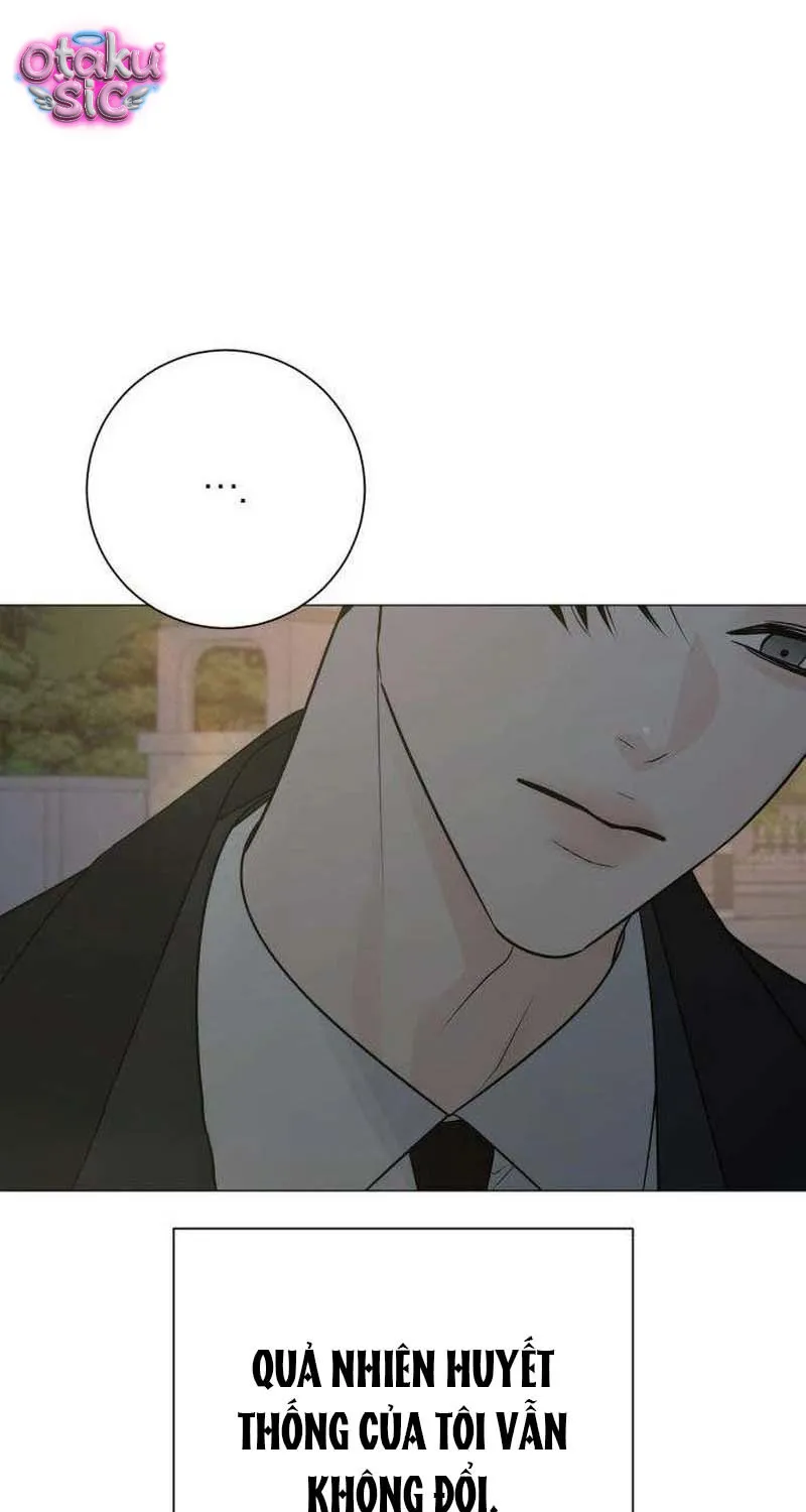 Chapter 39 - Trang 53