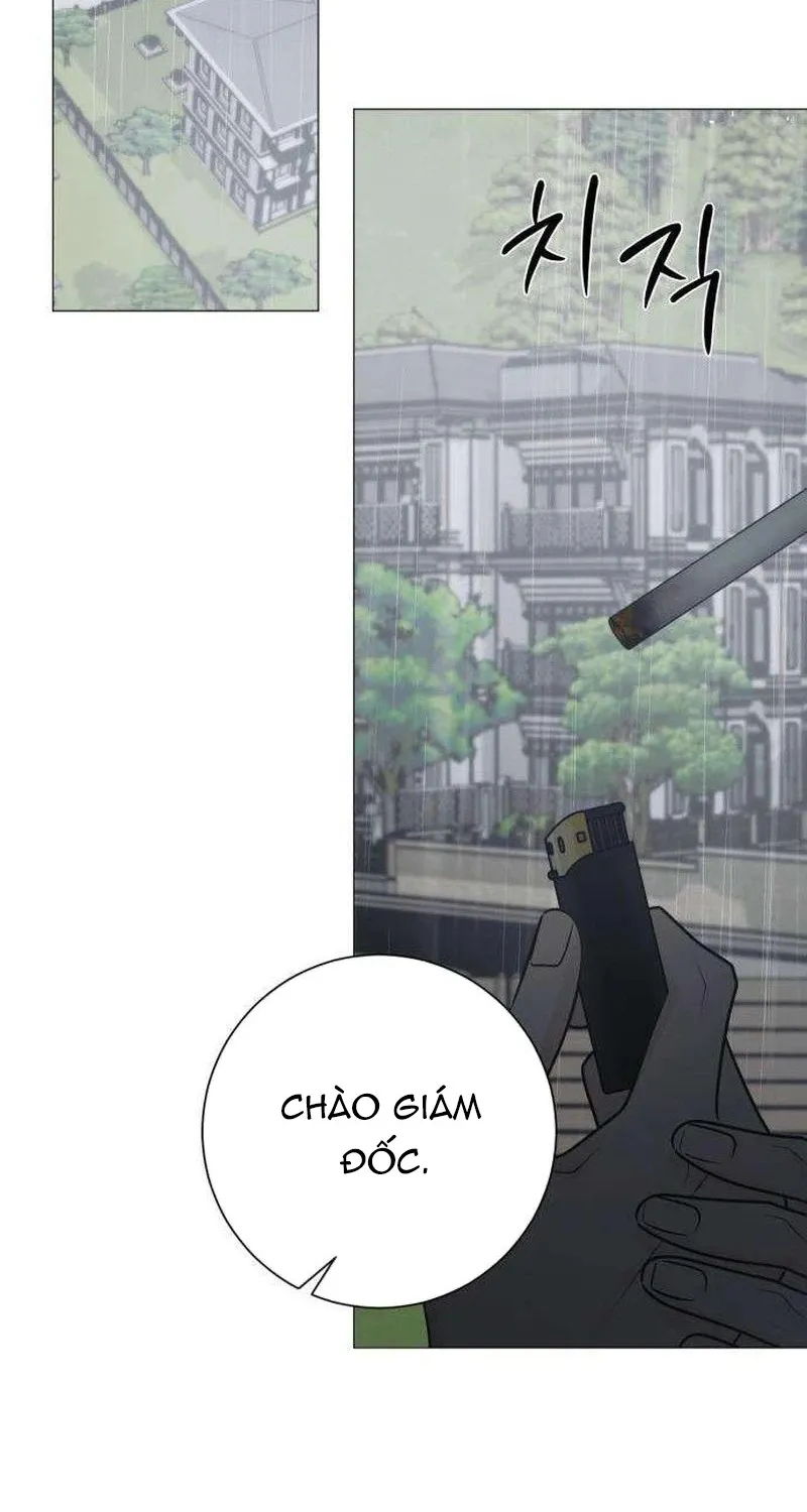 Chapter 41 - Trang 33