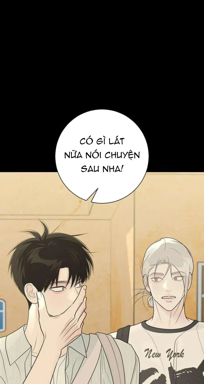 Chapter 41 - Trang 81