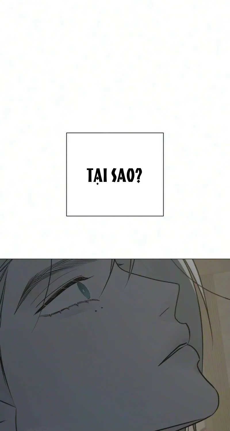 Chapter 43 - Trang 98