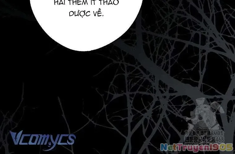 Chapter 24 - Trang 57