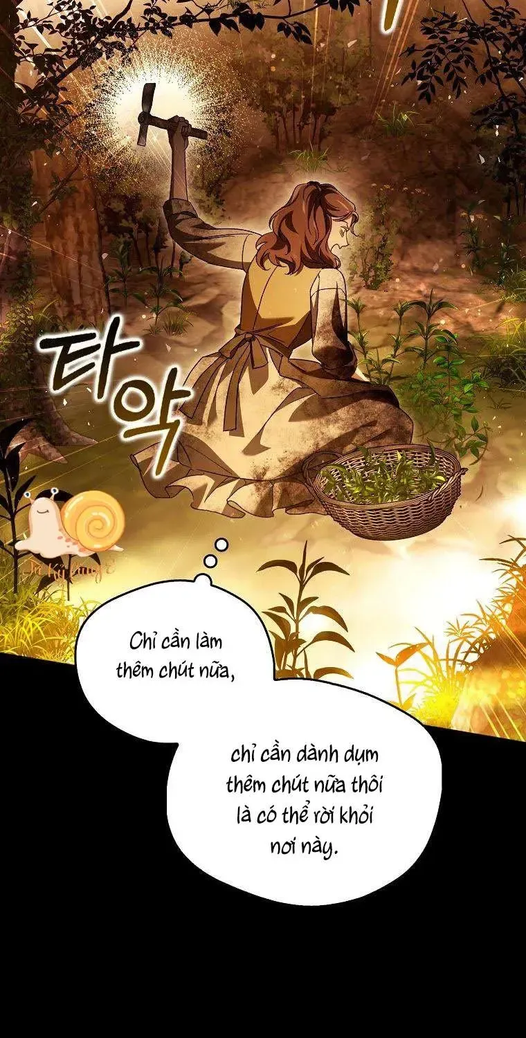 Chapter 24 - Trang 62