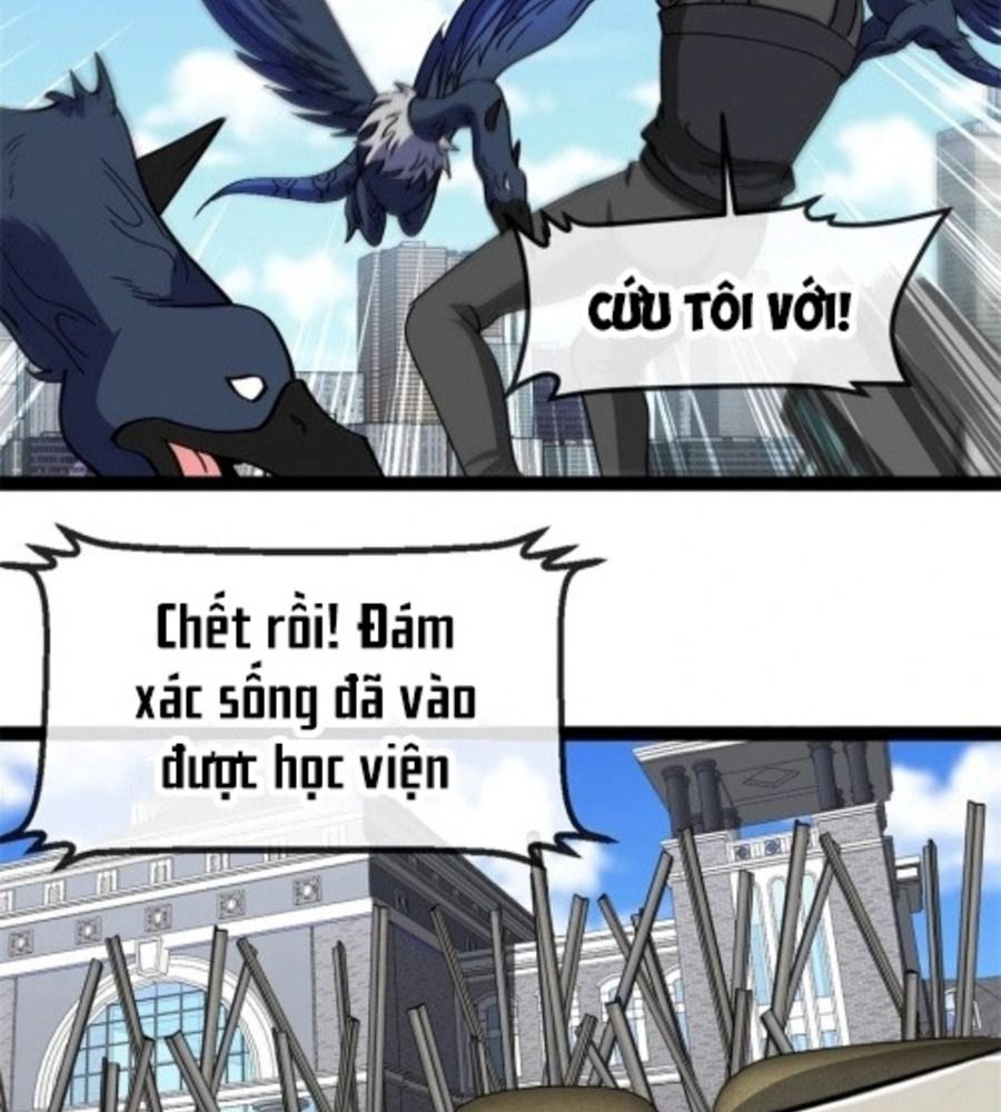 Trang 17