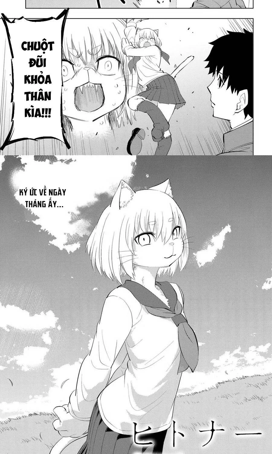 Chapter 14 - Trang 6