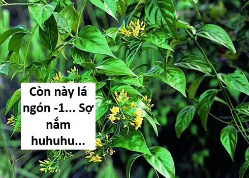 Chương 117 - Trang 97