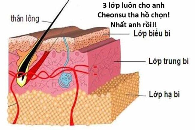 Chương 121 - Trang 45