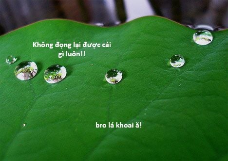 Chương 131 - Trang 123