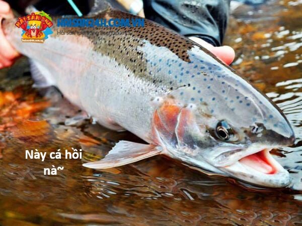 Chương 131 - Trang 124