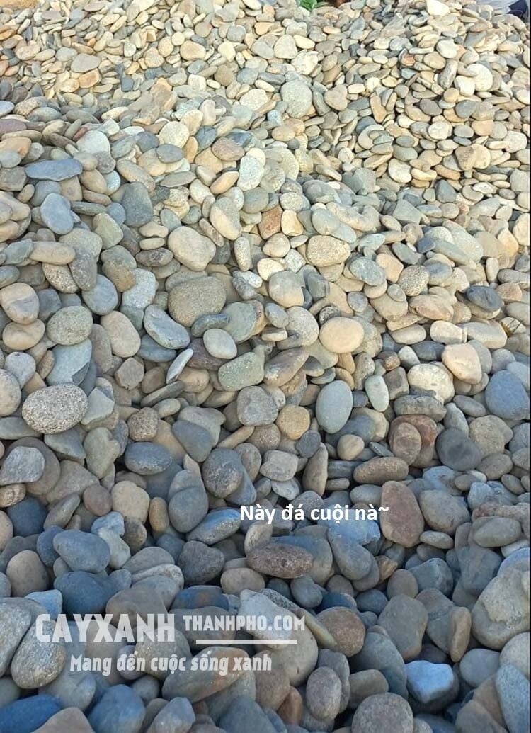 Chương 136 - Trang 47