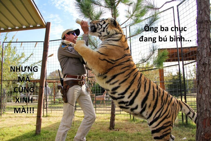 Chương 148 - Trang 47