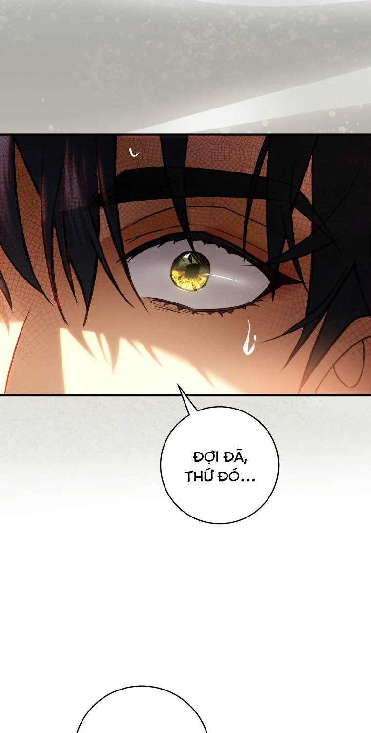 Hoa Bên Lưỡii Kiếm - Chap 25 - Trang 71