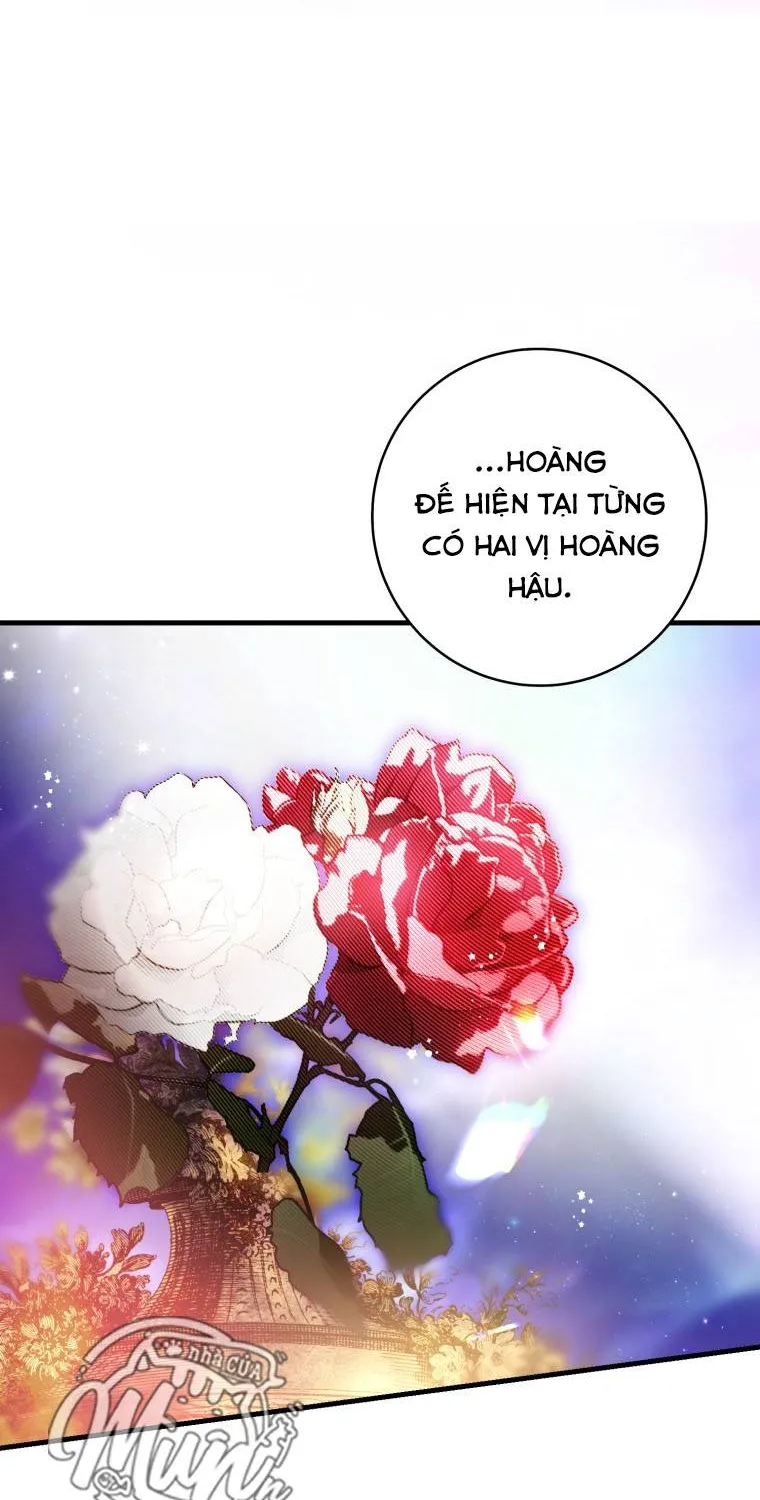 Hoa Bên Lưỡii Kiếm - Chap 31 - Trang 65