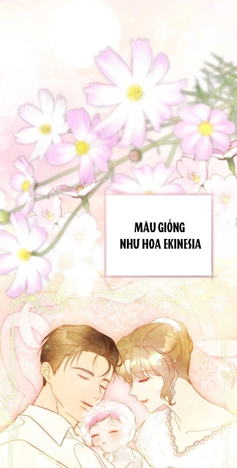Hoa Bên Lưỡii Kiếm - Chap 34 - Trang 51