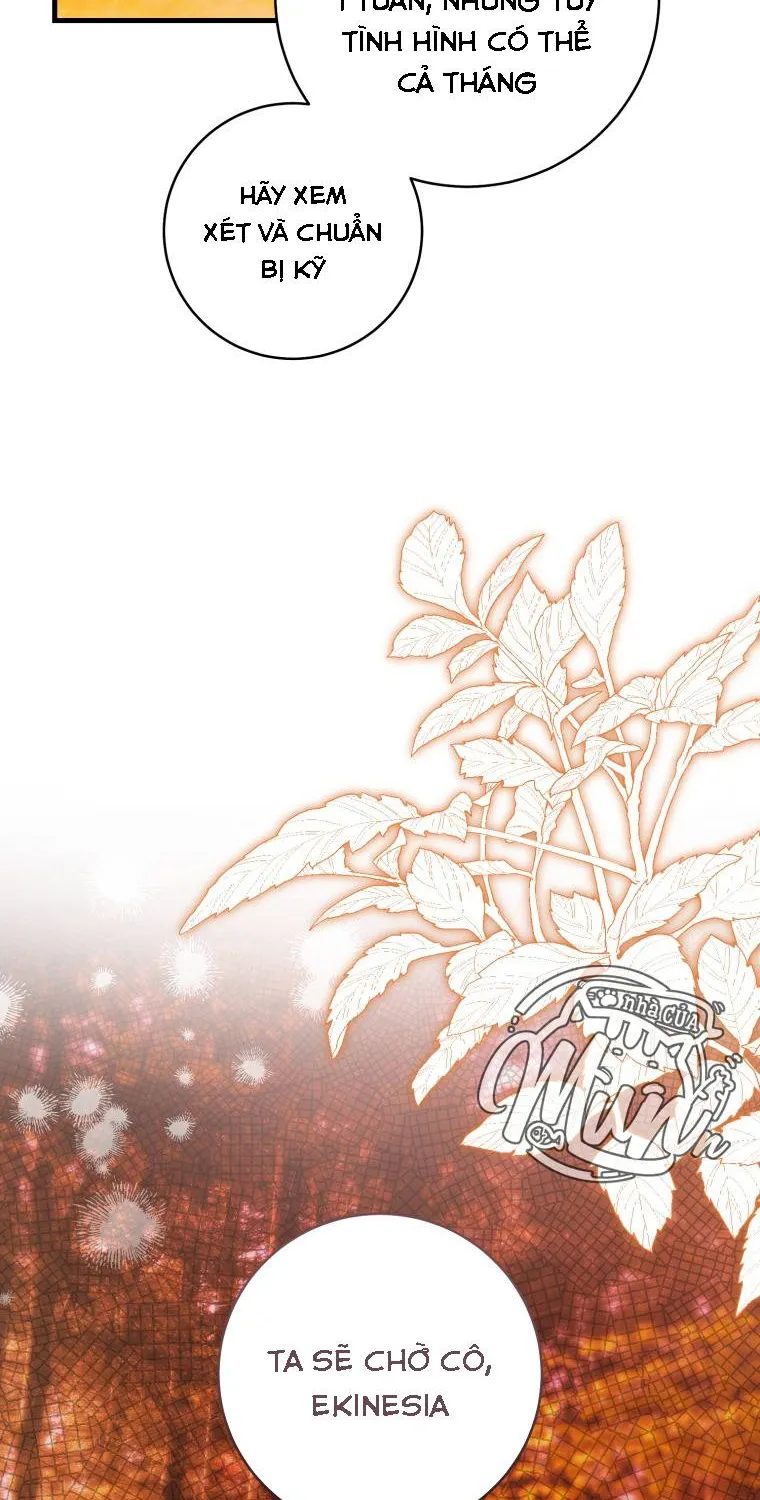 Hoa Bên Lưỡii Kiếm - Chap 38 - Trang 21