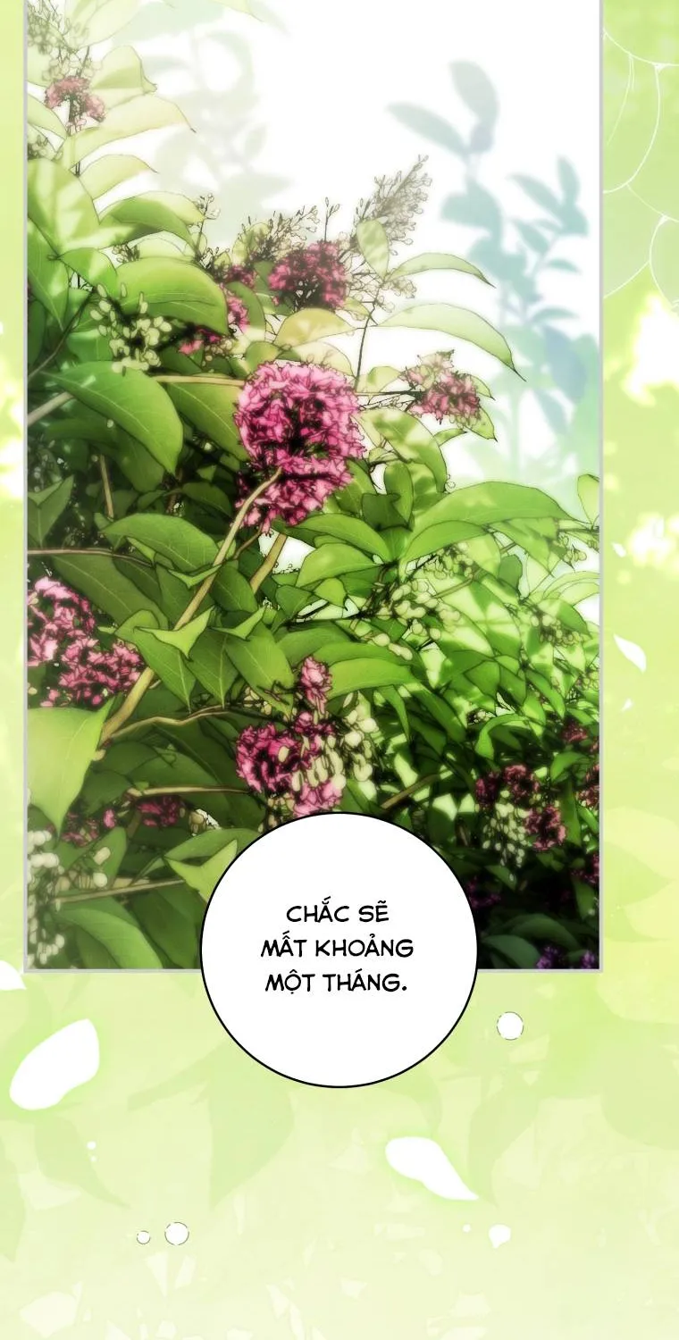 Hoa Bên Lưỡii Kiếm - Chap 39 - Trang 20