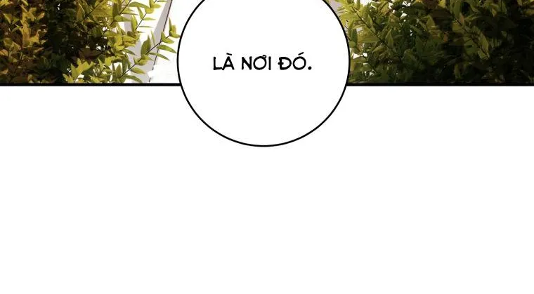 Hoa Bên Lưỡii Kiếm - Chap 42 - Trang 49