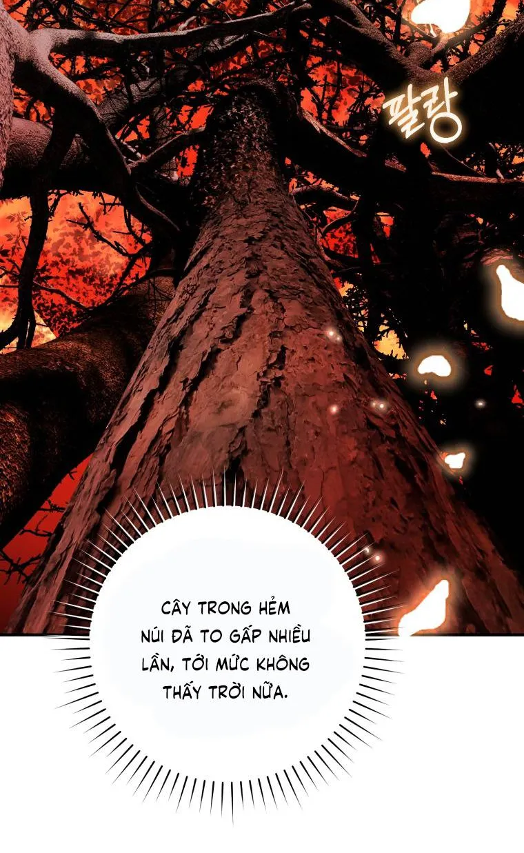 Hoa Bên Lưỡii Kiếm - Chap 45 - Trang 27