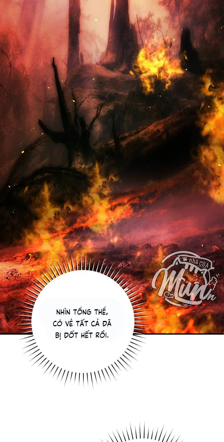 Hoa Bên Lưỡii Kiếm - Chap 45 - Trang 37