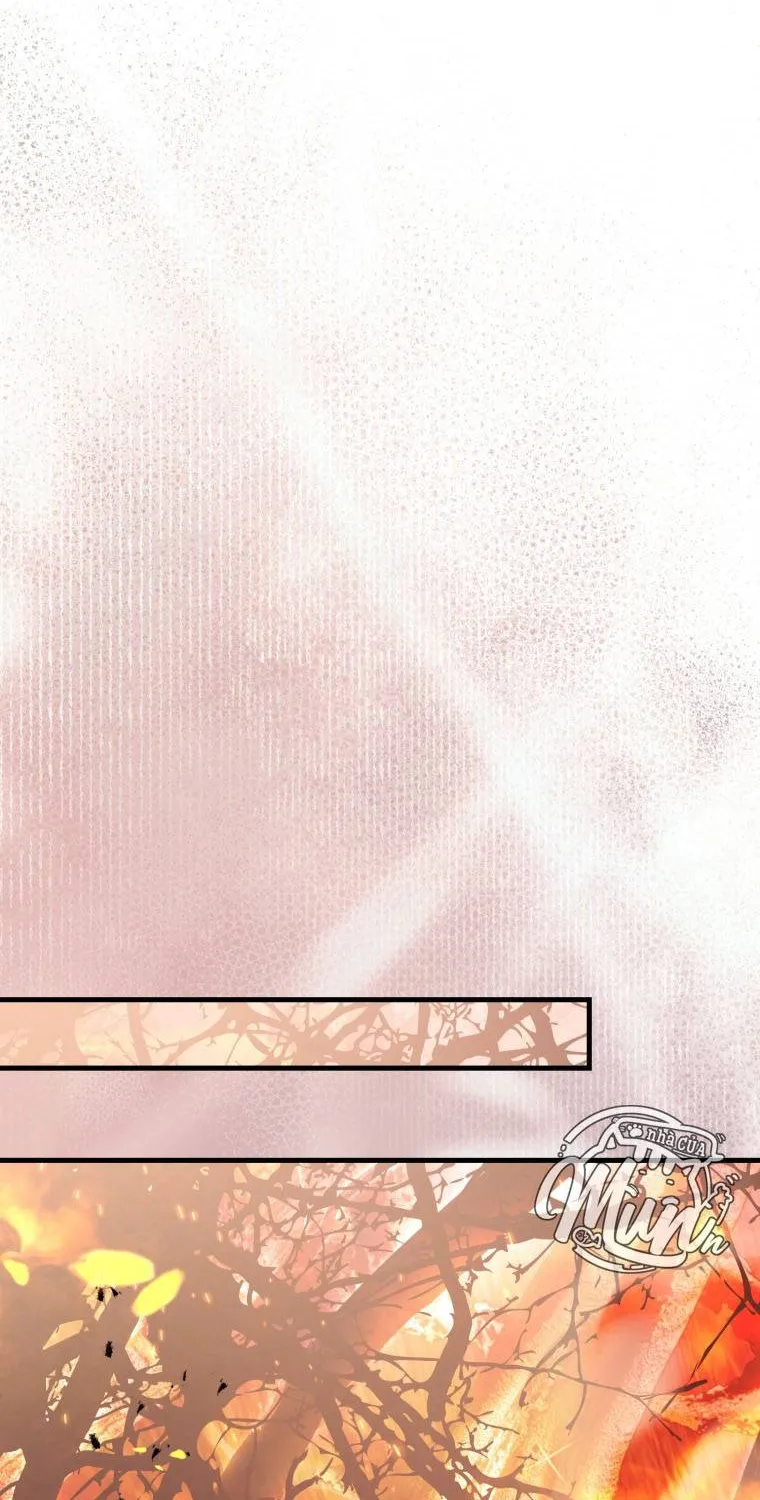 Hoa Bên Lưỡii Kiếm - Chap 46 - Trang 94