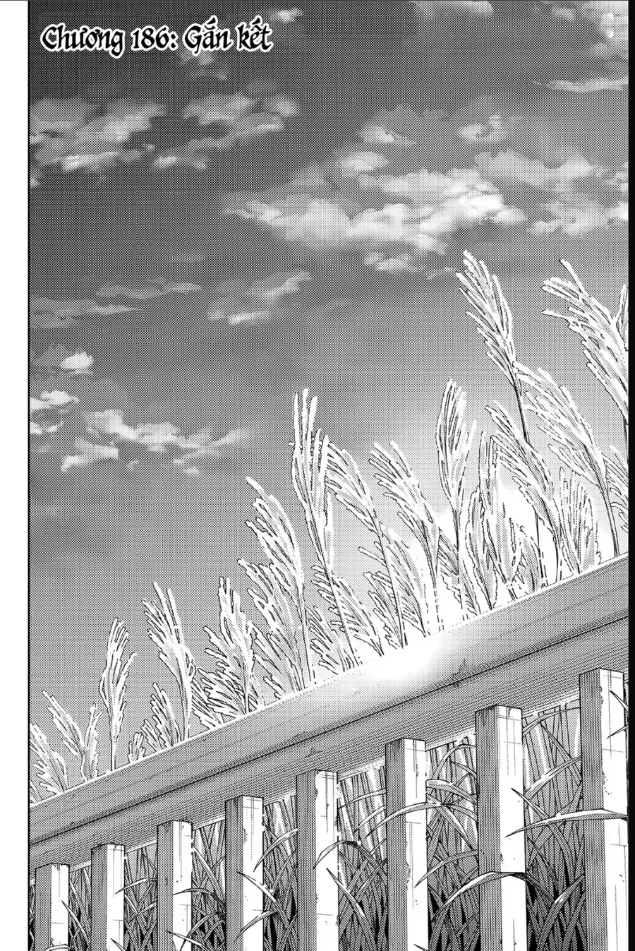 Chapter 186 - Trang 5