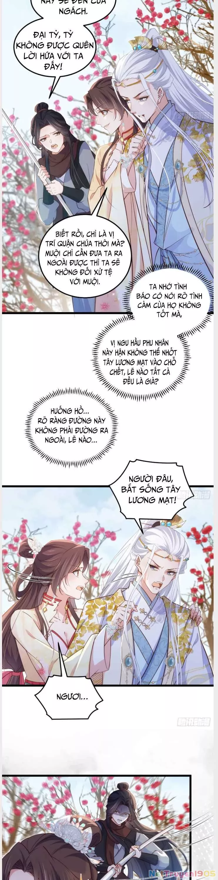 Trang 6