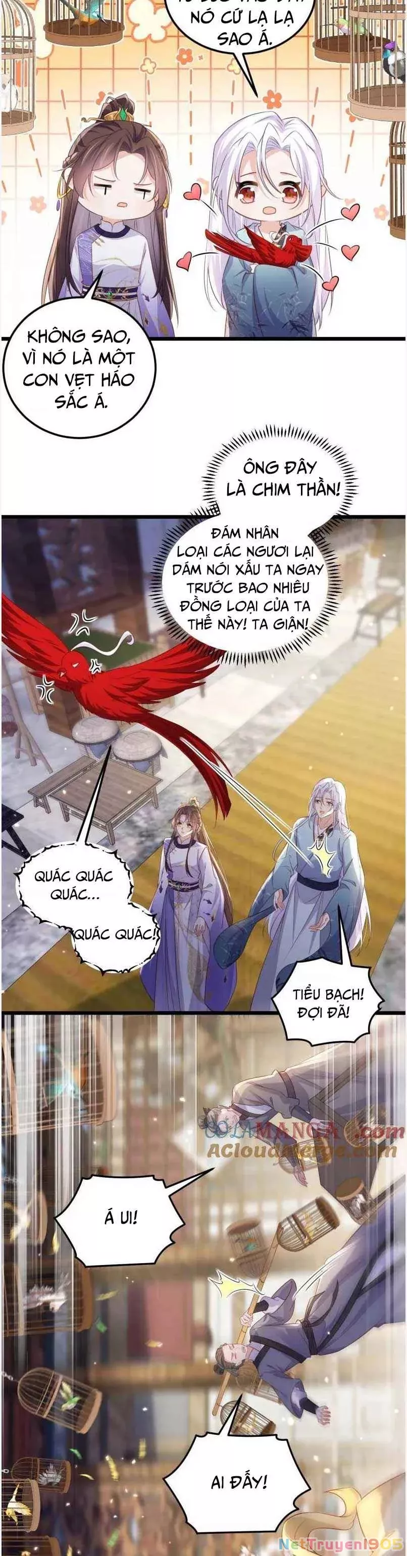 Trang 8