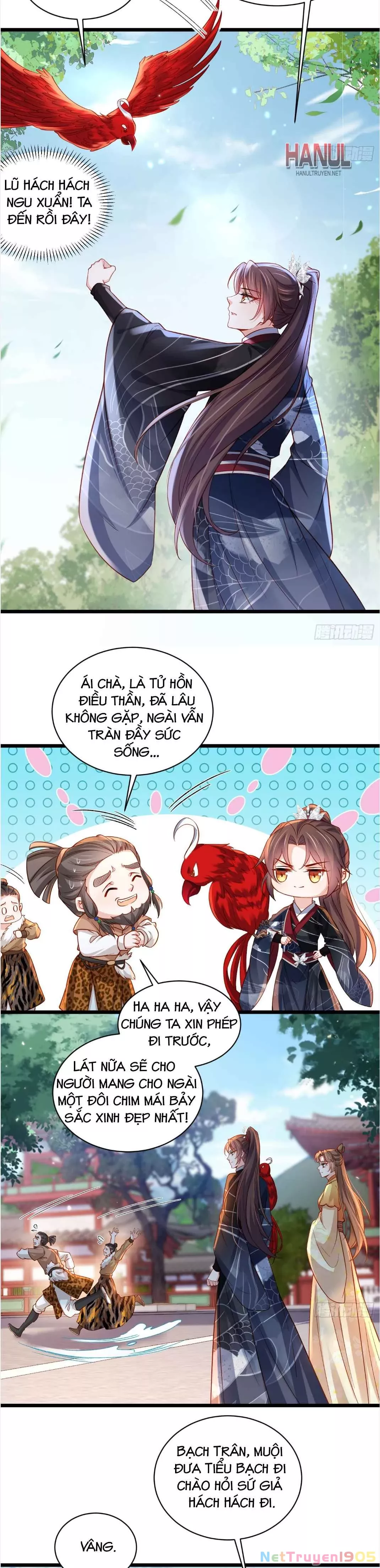 Trang 5