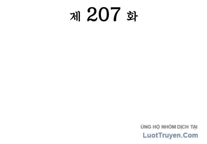 Chapter 207 - Trang 24