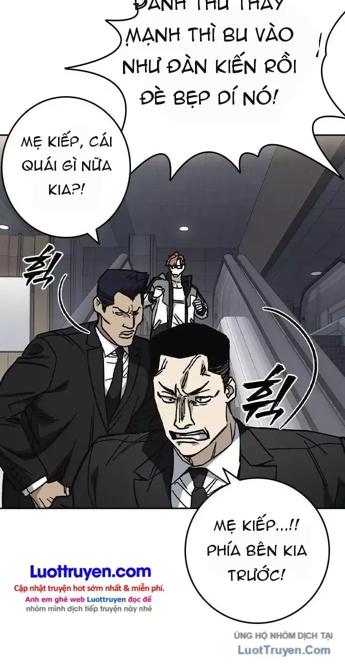 Chapter 331 - Trang 24