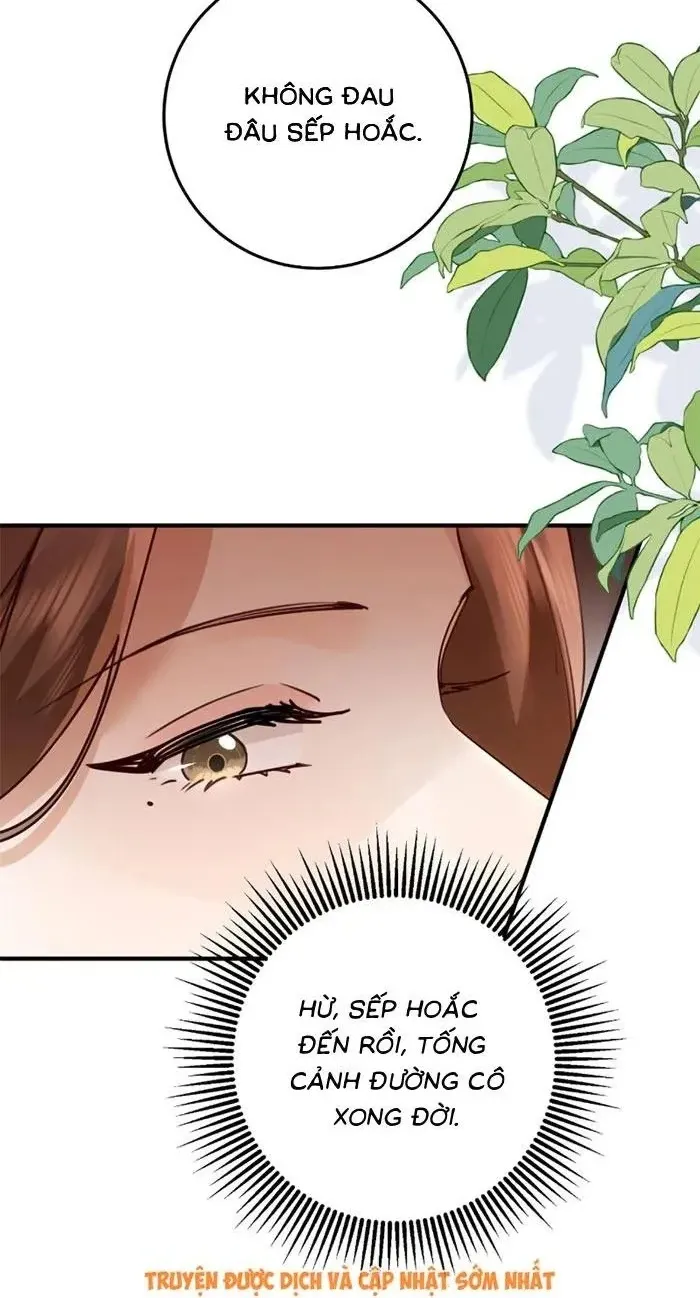 Chapter 14 - Trang 5