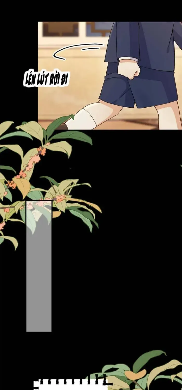 Chapter 20 - Trang 31