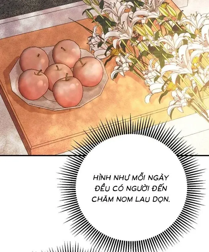 Chapter 26 - Trang 29