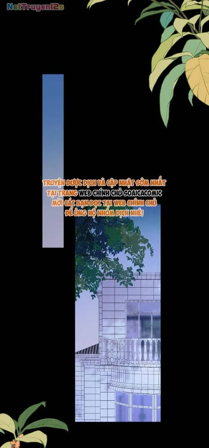 Chapter 36 - Trang 27