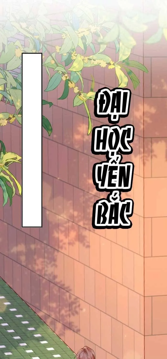 Chapter 52 - Trang 31