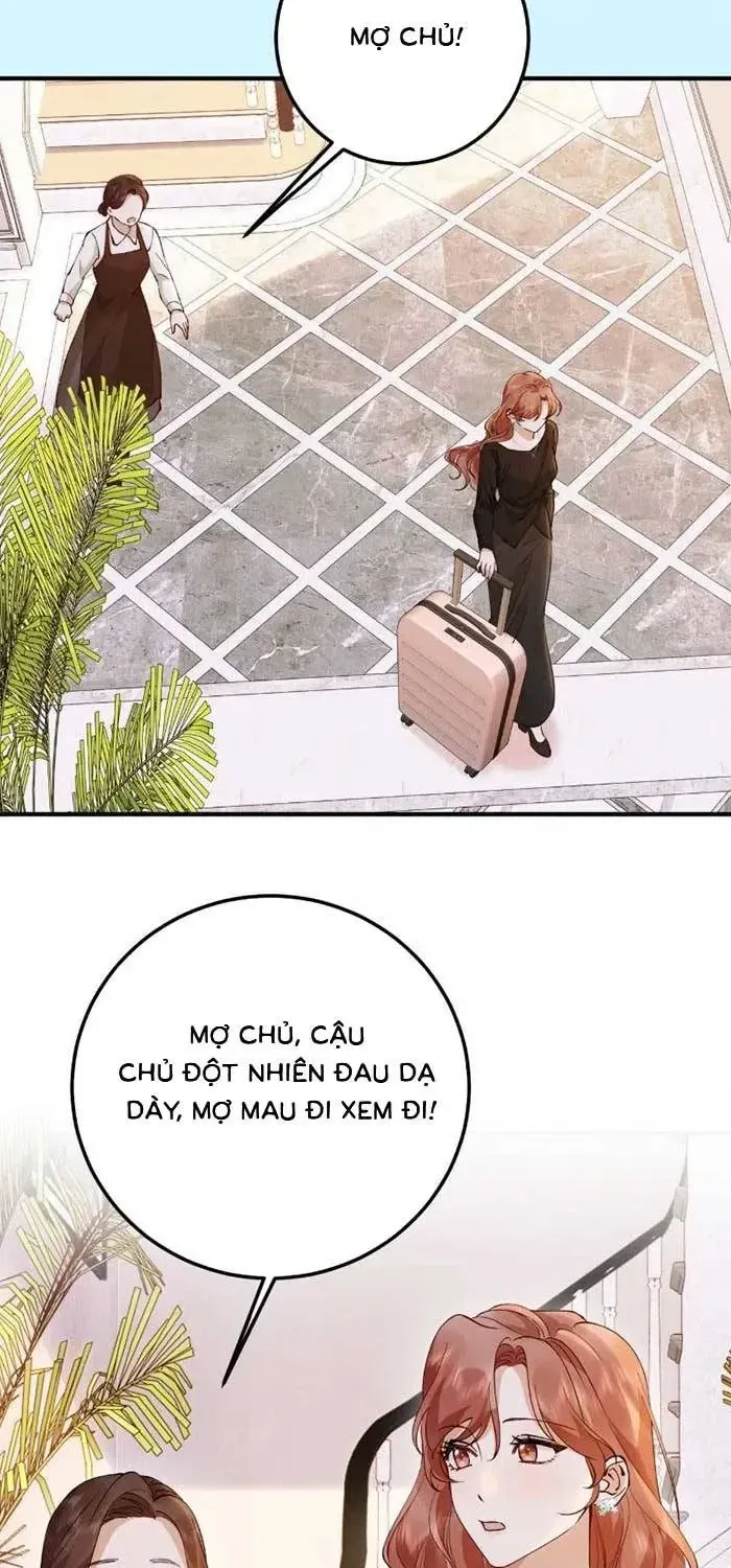 Chapter 55 - Trang 31