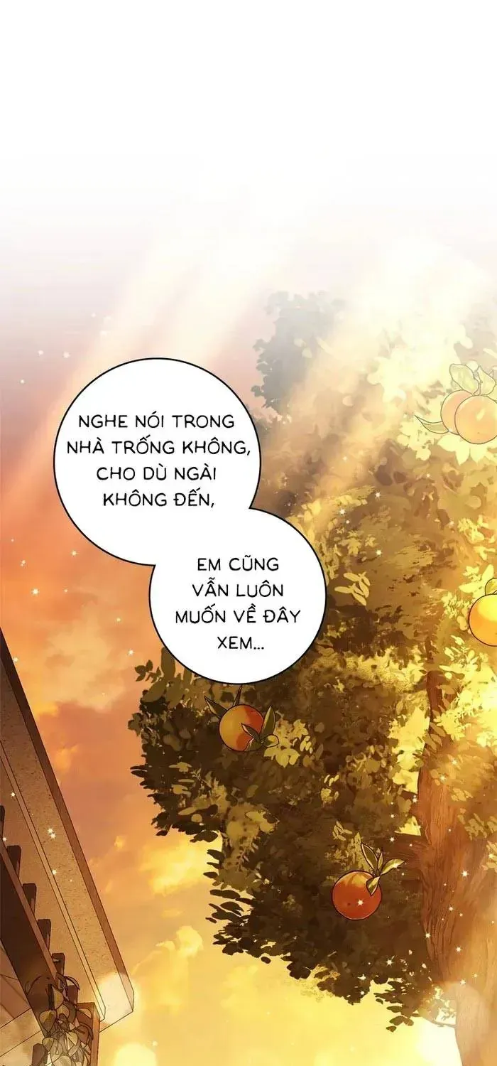 Chapter 35 - Trang 26