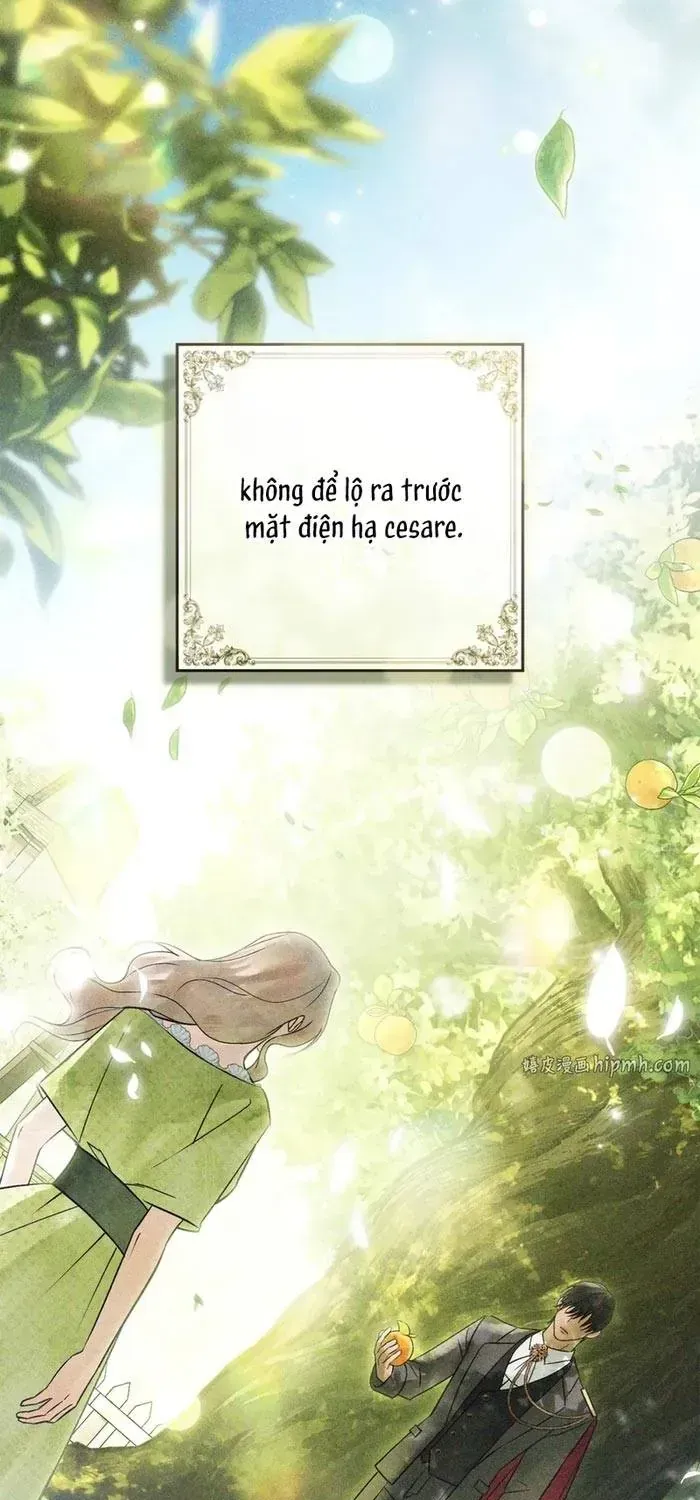 Chapter 36 - Trang 34