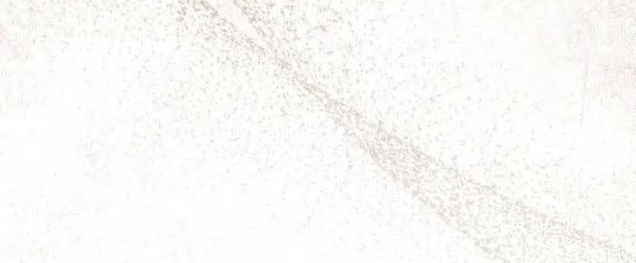 Chapter 37 - Trang 27